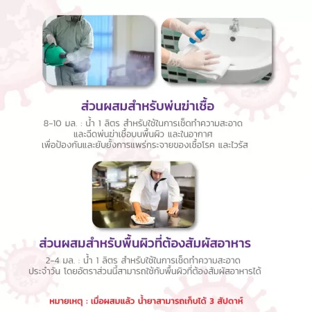 น้ำยาสำหรับฆ่าเชื้อ 22 มัลติ-ควอท แซนิไทเซอร์ 2 ลิตร - Image 5